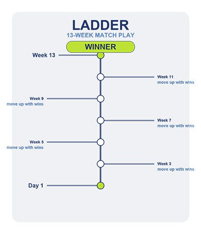 Ladder graphic smaller 3